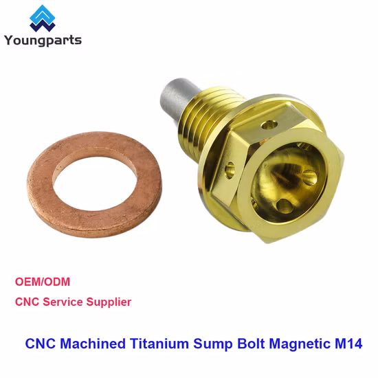CNC 加工チタン製磁気 M14 サンプ ボルト