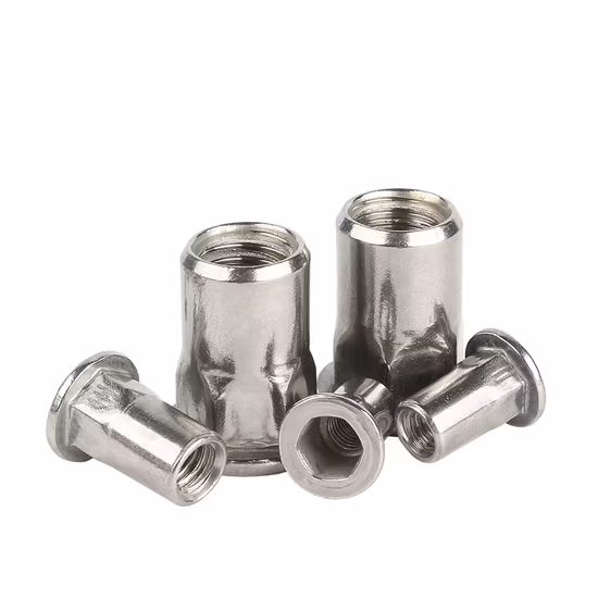 金属銅 M20 M6 M12 チタン特別な M2 平頭ステンレス鋼カスタム真鍮 M8 ブラインドリベットリベットナット